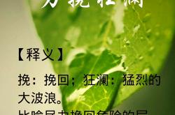 比赛残酷激烈，弱者绝不挽回
